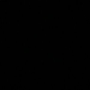 Meet your Posher, Daniela